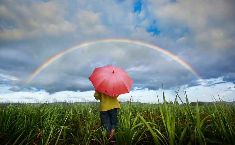 Tak Harus Menunggu Hujan Untuk Melihat Pelangi
