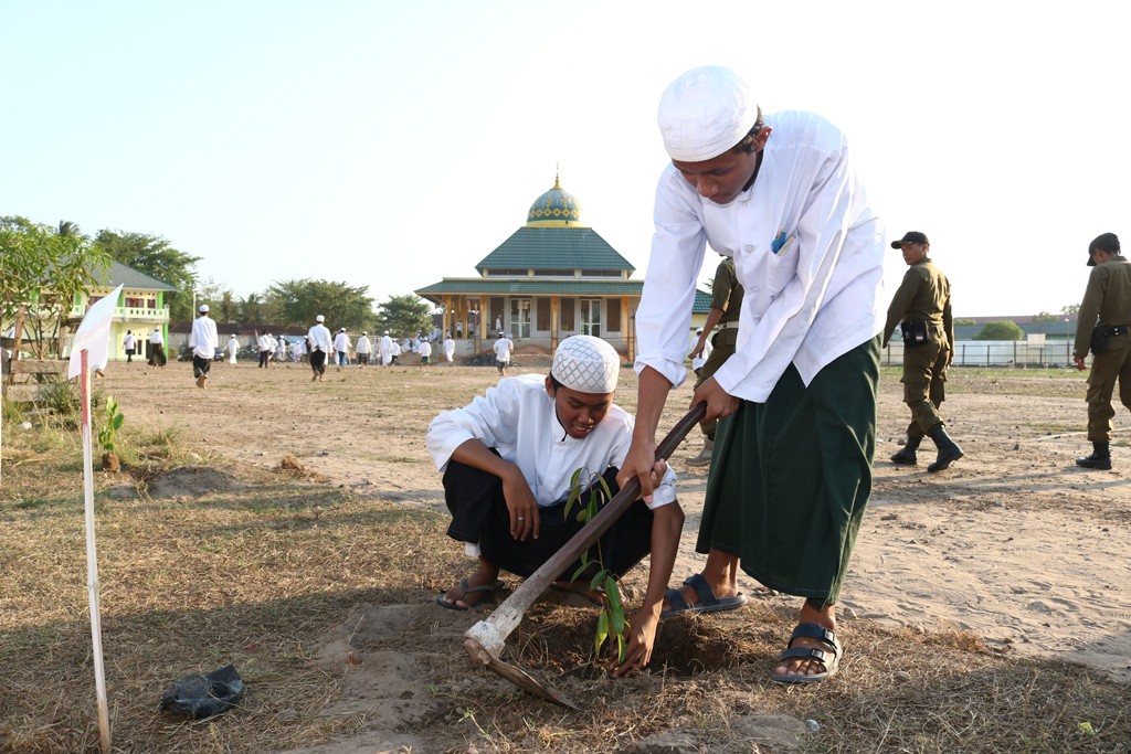 Islam Hijau: Apakah Menanam Pohon Sama dengan Ibadah?